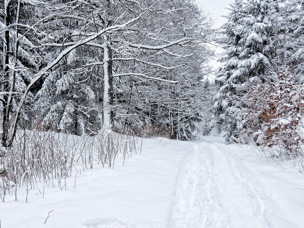 Winterwunderland im Südharz