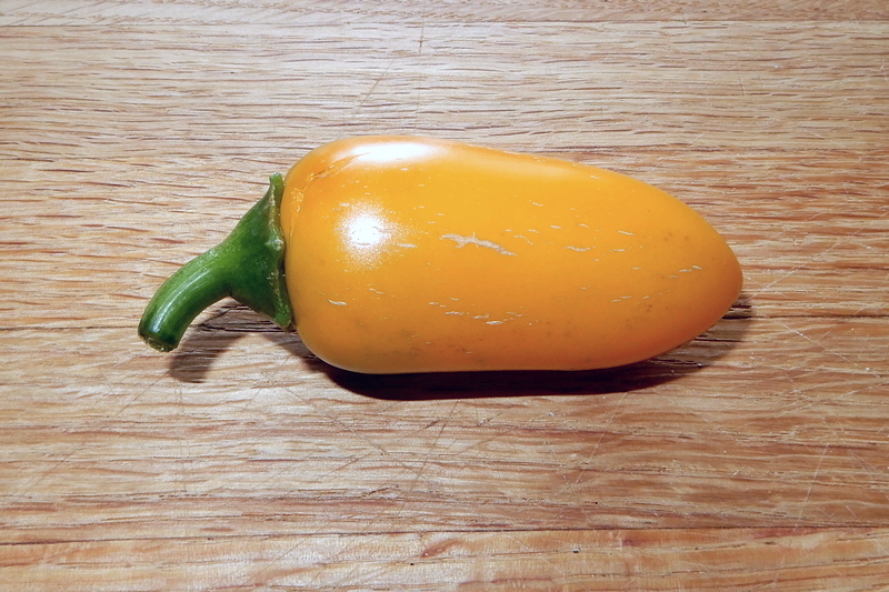 Yellow Jalapeno