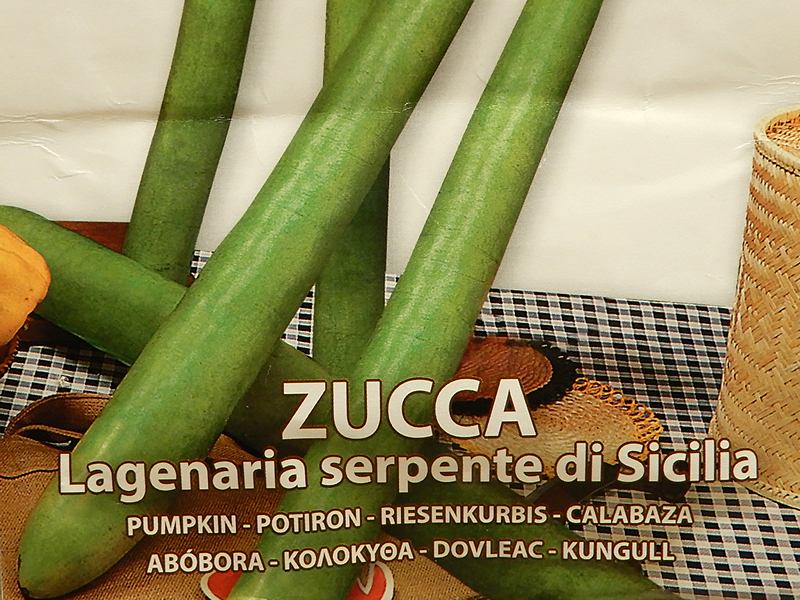 ZUCCA