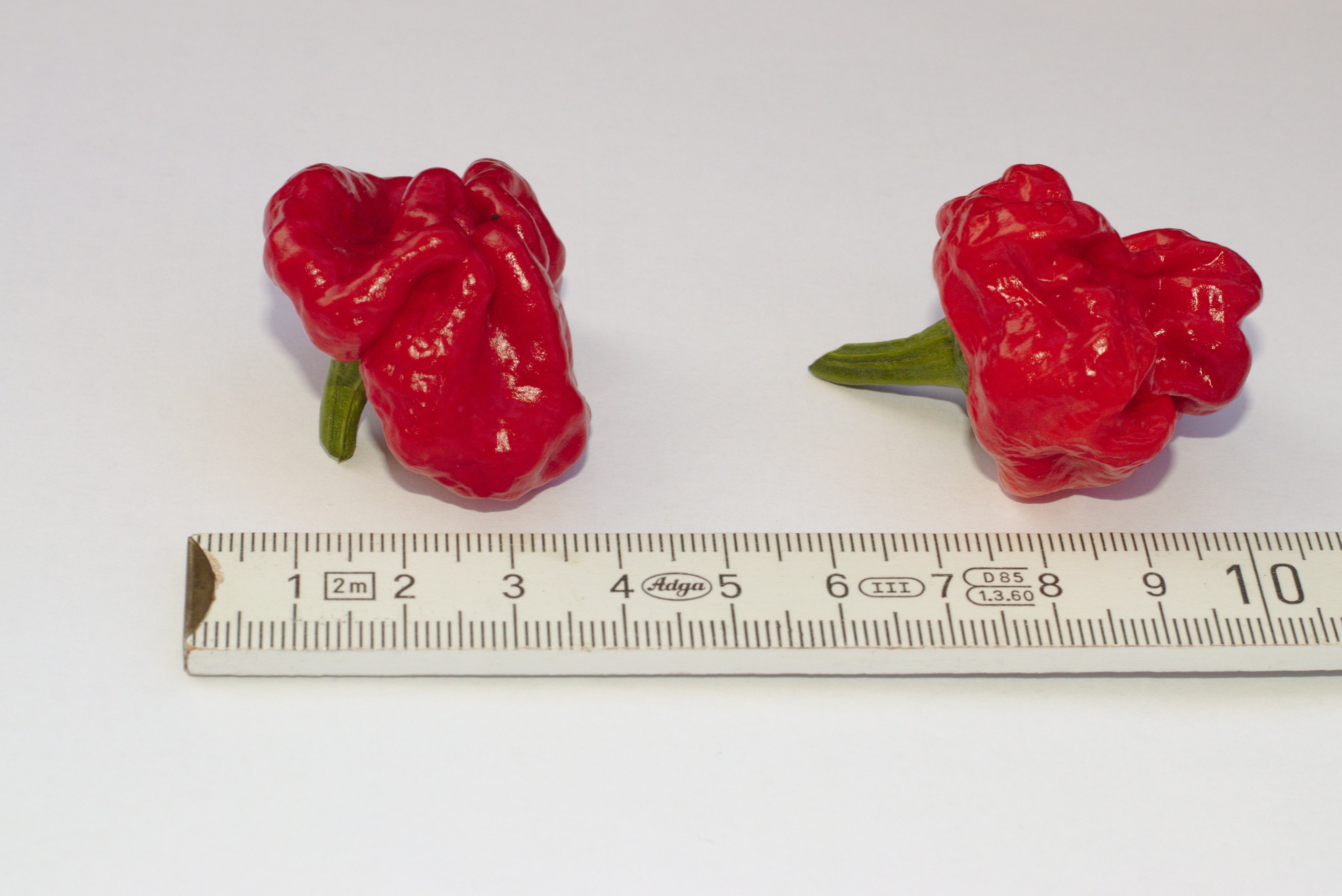 20190811_Scotch_Bonnet_01.jpg